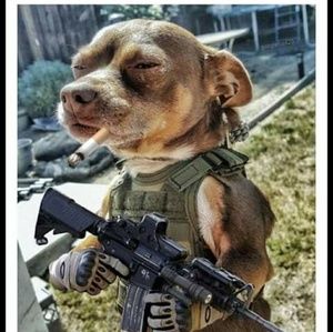 Meet your Posher, Joel